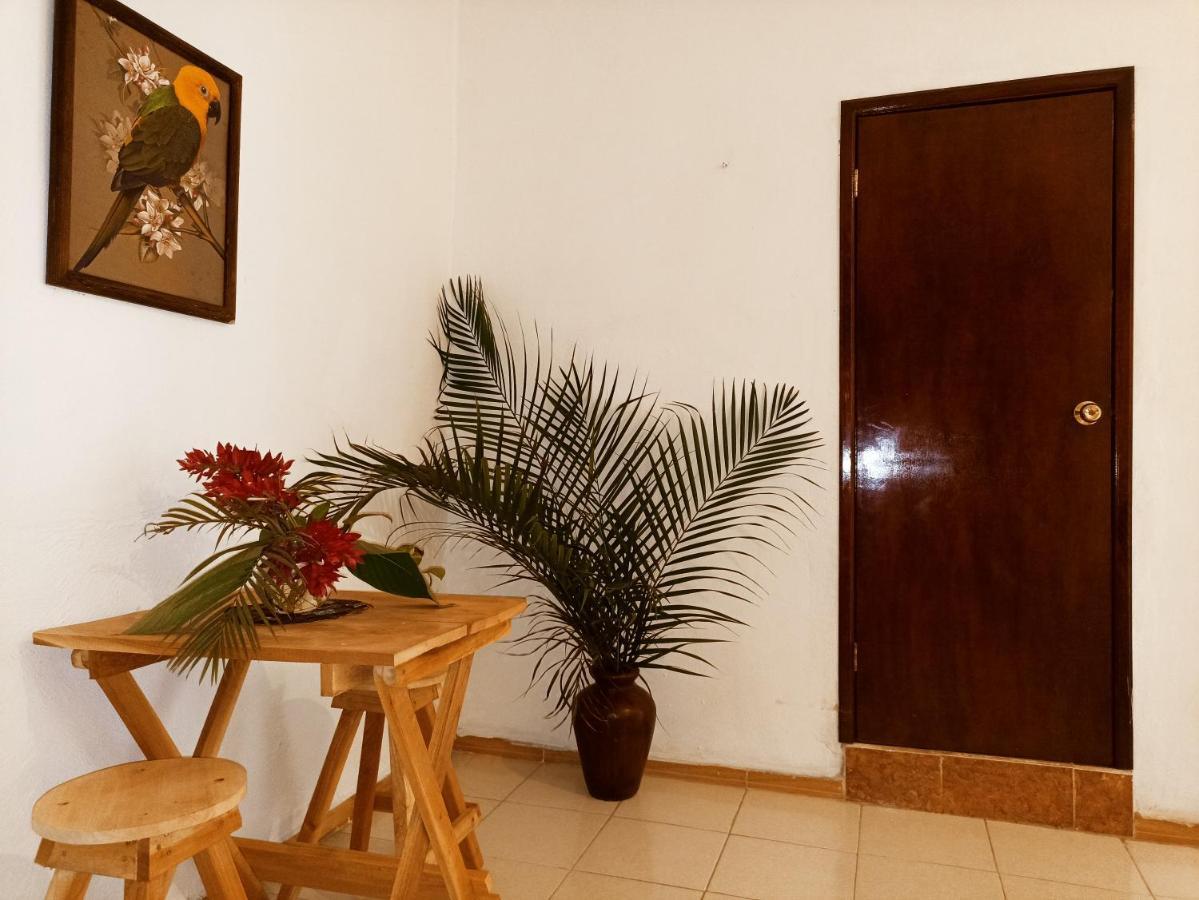 Casa De Los Pajaros - B&B Valladolid  Exteriör bild