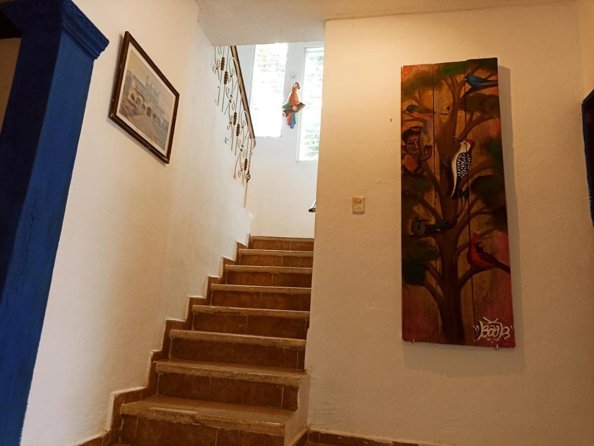 Casa De Los Pajaros - B&B Valladolid  Exteriör bild