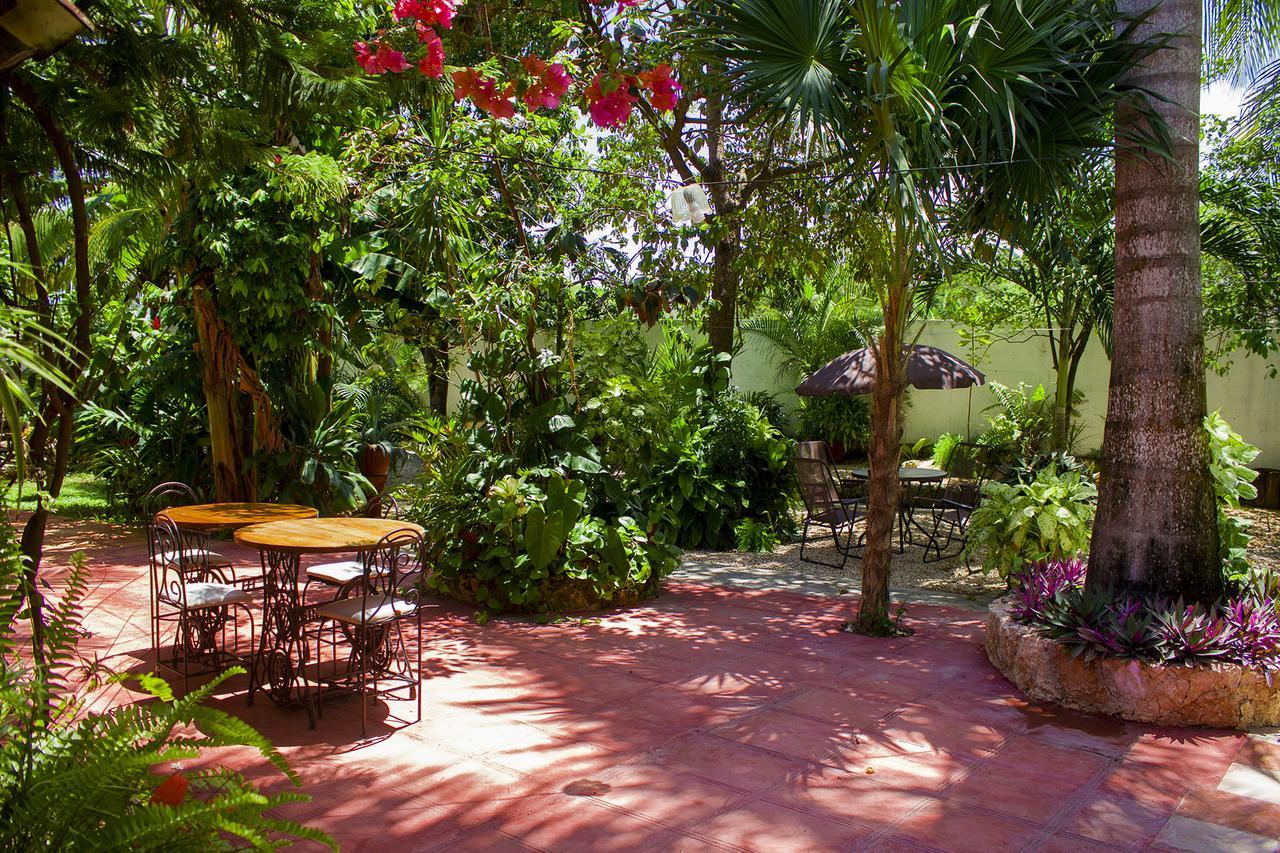 Casa De Los Pajaros - B&B Valladolid  Exteriör bild